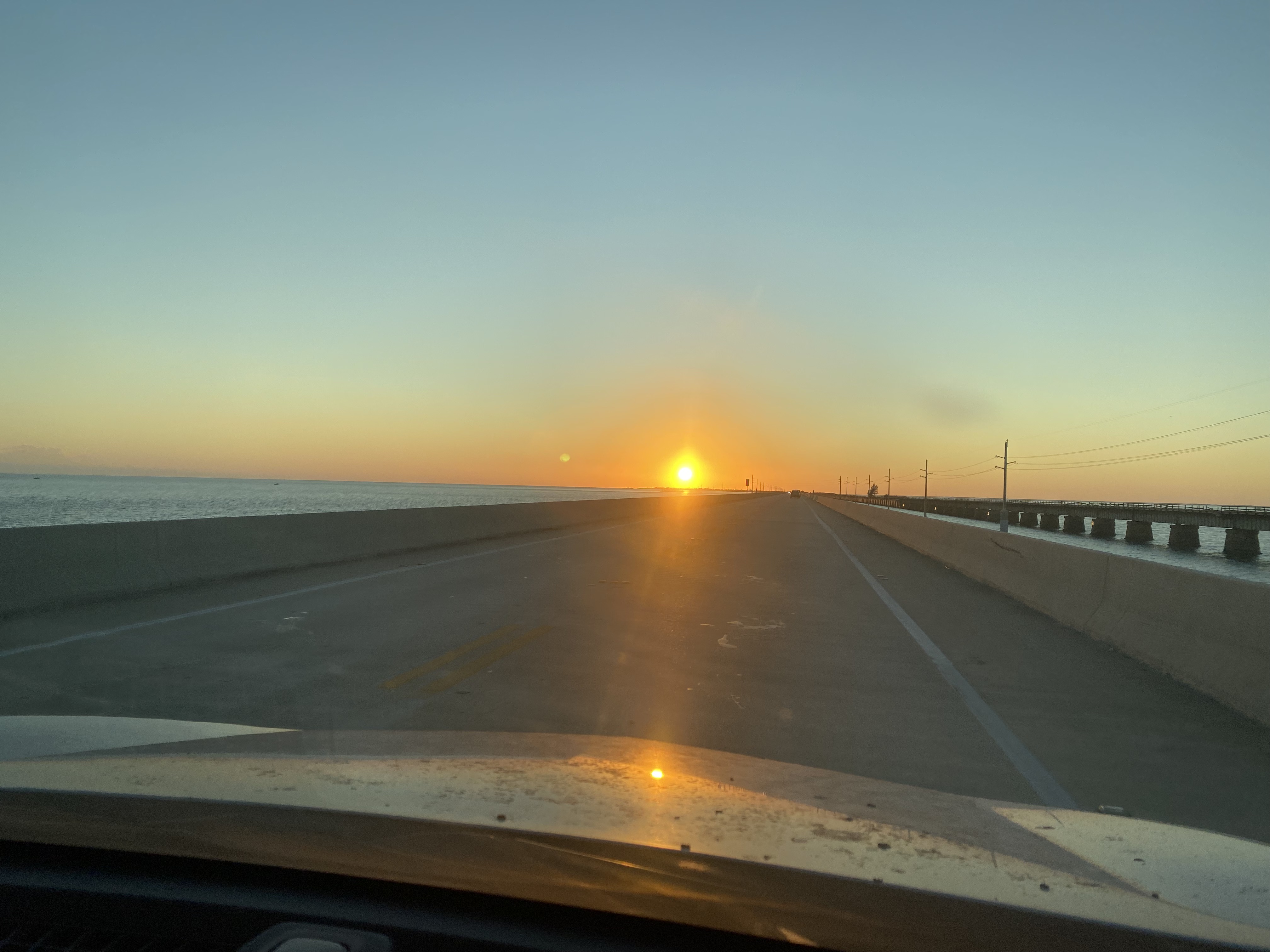 Quentin Garcia - Invasive Species Removal Specialist in the Florida Keys