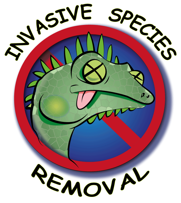 Invasive Species Removal of Key West